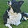 Roxie