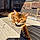 Tigger