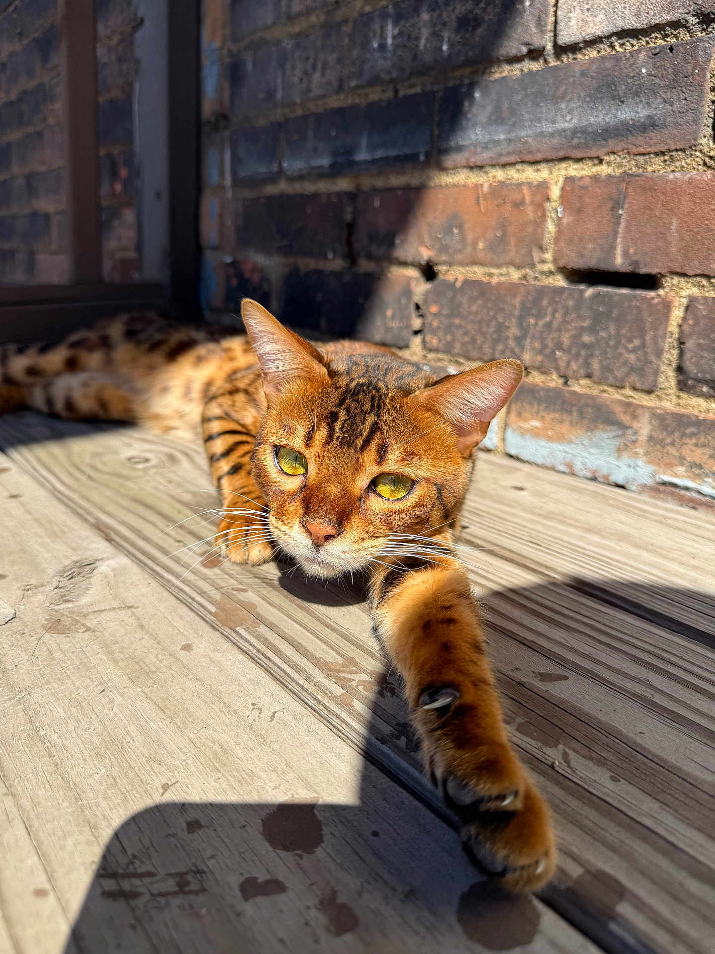 Tigger