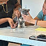 puppy, dog, french_bulldog, veterinary, veterinarian, medical_exam, stethoscope, syringe, examination_table, caregivers, clinic, indoor, puppy_face, sitting, gray_fur, people, notebook, smartphone, healthcare, portrait