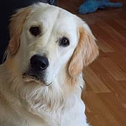 Iris participe au concours pour gagner de l'argent avec cette photo :