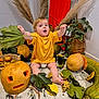 autumn, barefoot, basket, carpet, celebration, child, cute, decor, diaper, fall, greenery, happy, indoor, leaf, orange, plant, pumpkin, smiling, toddler, yellow_shirt