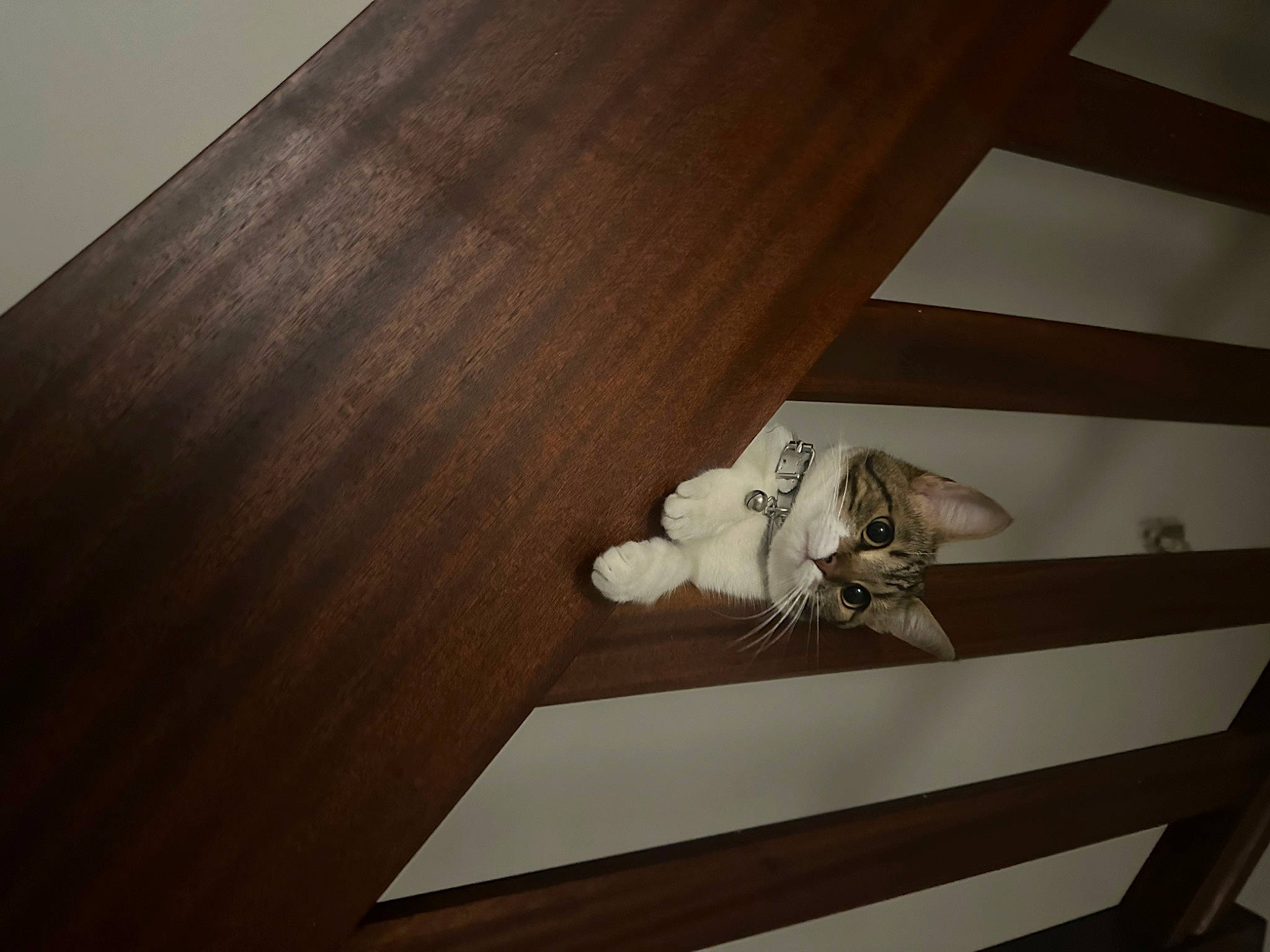 Minou participe au concours pour gagner de l'argent avec cette photo : art, ceiling, drawer, floor, flooring, grey, hardwood, metal, paper, plaster, plywood, rectangle, room, shadow, stairs, still_life_photography, varnish, wood, wood_flooring, wood_stain