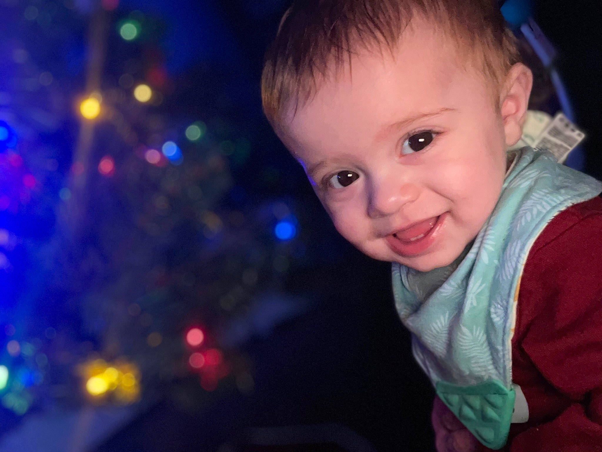 Jaxson joined the competition — help win amazing prizes! cheek, chin, christmas_ornament, eye, face, flash_photography, fun, happy, head, human_body, iris, joy, lighting, lip, nose, person, plant, skin, sky, smile