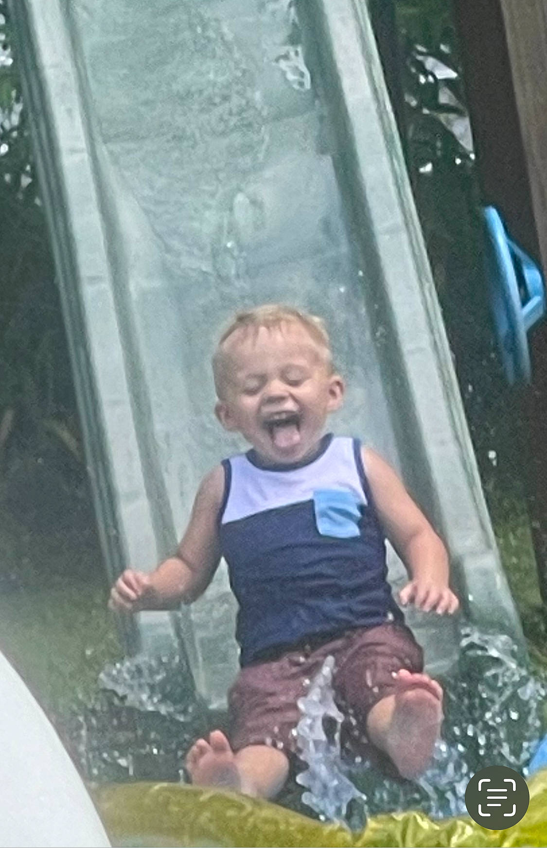 Asher joined the competition — help win amazing prizes! baby, child, event, fun, glass, grass, happy, leisure, person, play, recreation, reflection, shorts, sitting, smile, t_shirt, toddler, vacation, water, window