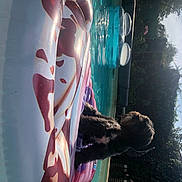 Maelys participe au concours pour gagner de l'argent avec cette photo : carmine, electric_blue, fun, human_leg, leisure, plant, recreation, reflection, shadow, sky, tints_and_shades, tree, vacation, visual_arts, water