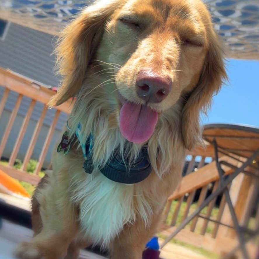 Ruger