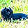 Onix