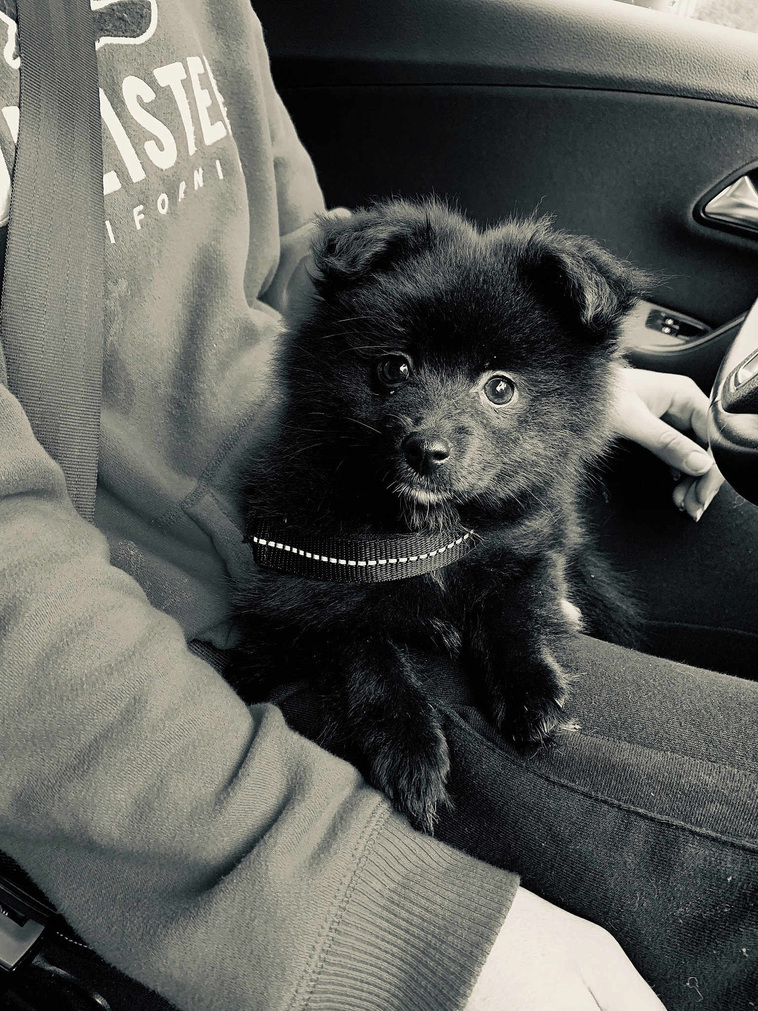Blacky