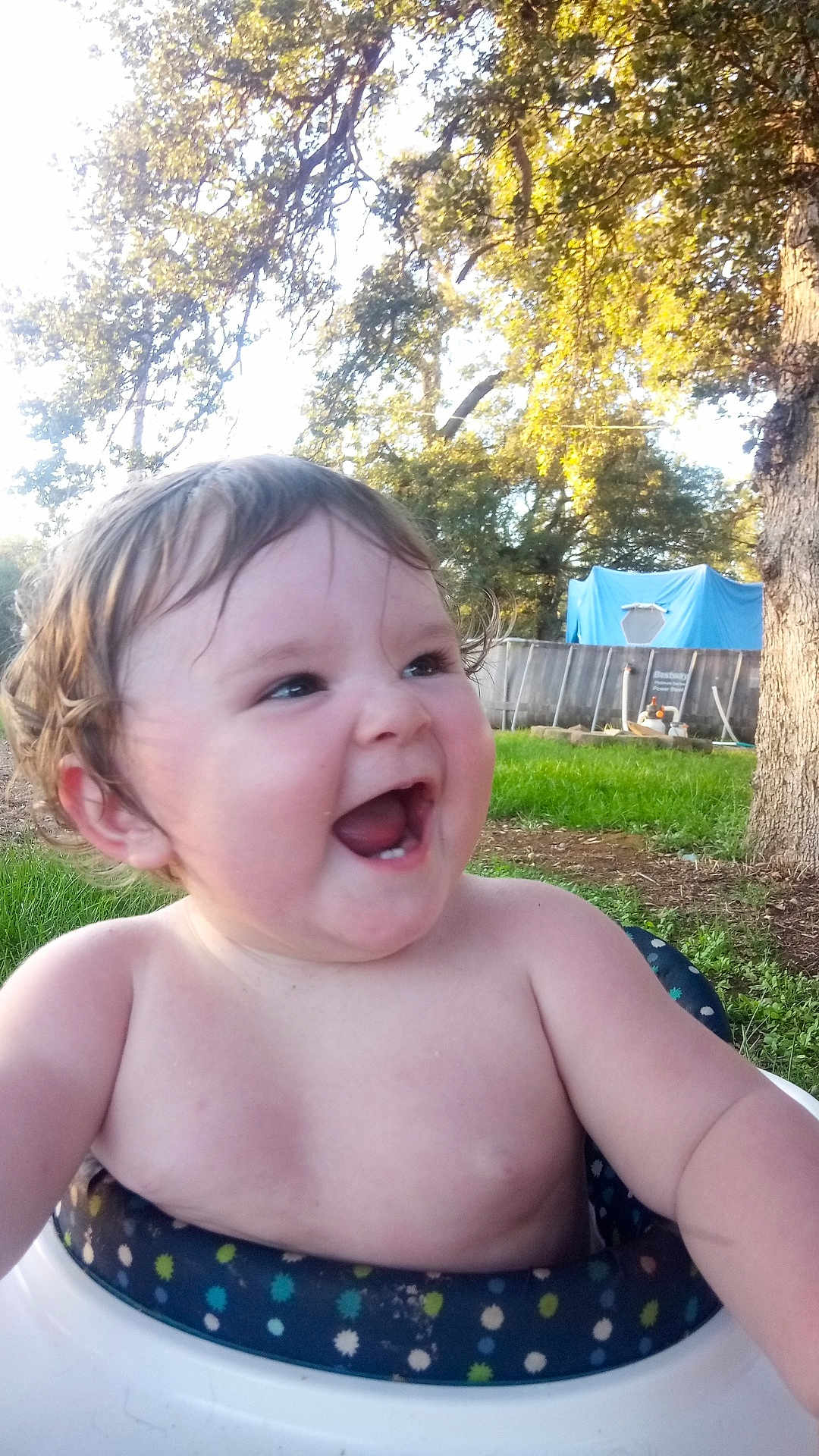 Eveline is registered to the contest to win money with this photo: baby, child, cute, daylight, grass, greenery, happy, infant, laughing, nature, outdoor, playtime, portrait, seat, shirtless, smiling, summer, sunlight, tree, young