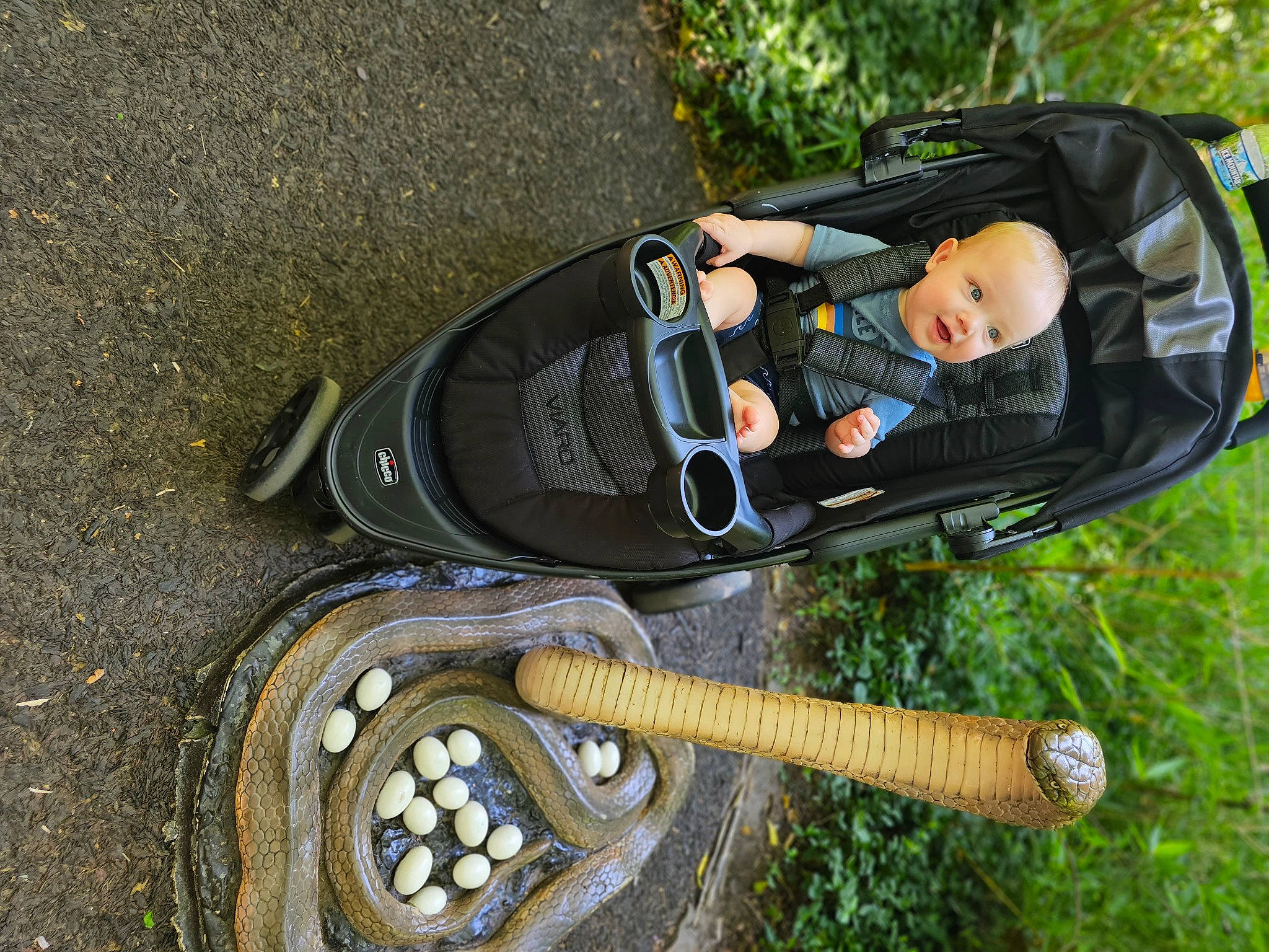 Lochlan is registered to the contest to win money with this photo: auto_part, automotive_tire, baby, baby_carriage, baby_products, bag, grass, leisure, luggage_and_bags, musical_instrument, outdoor_shoe, person, personal_protective_equipment, plant, recreation, sports_equipment, tire, toddler, tree, vehicle