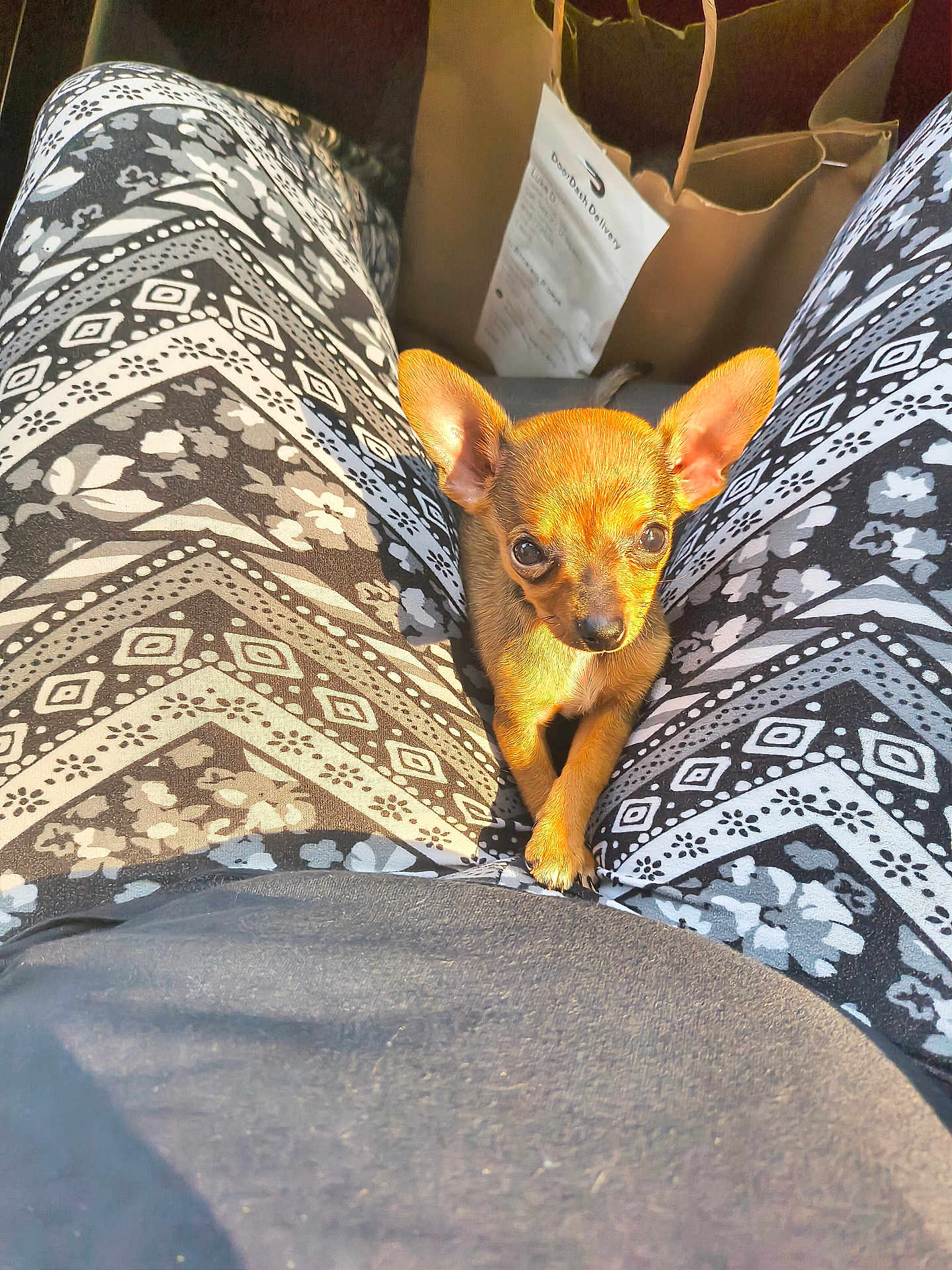 Baby