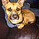 Bruno