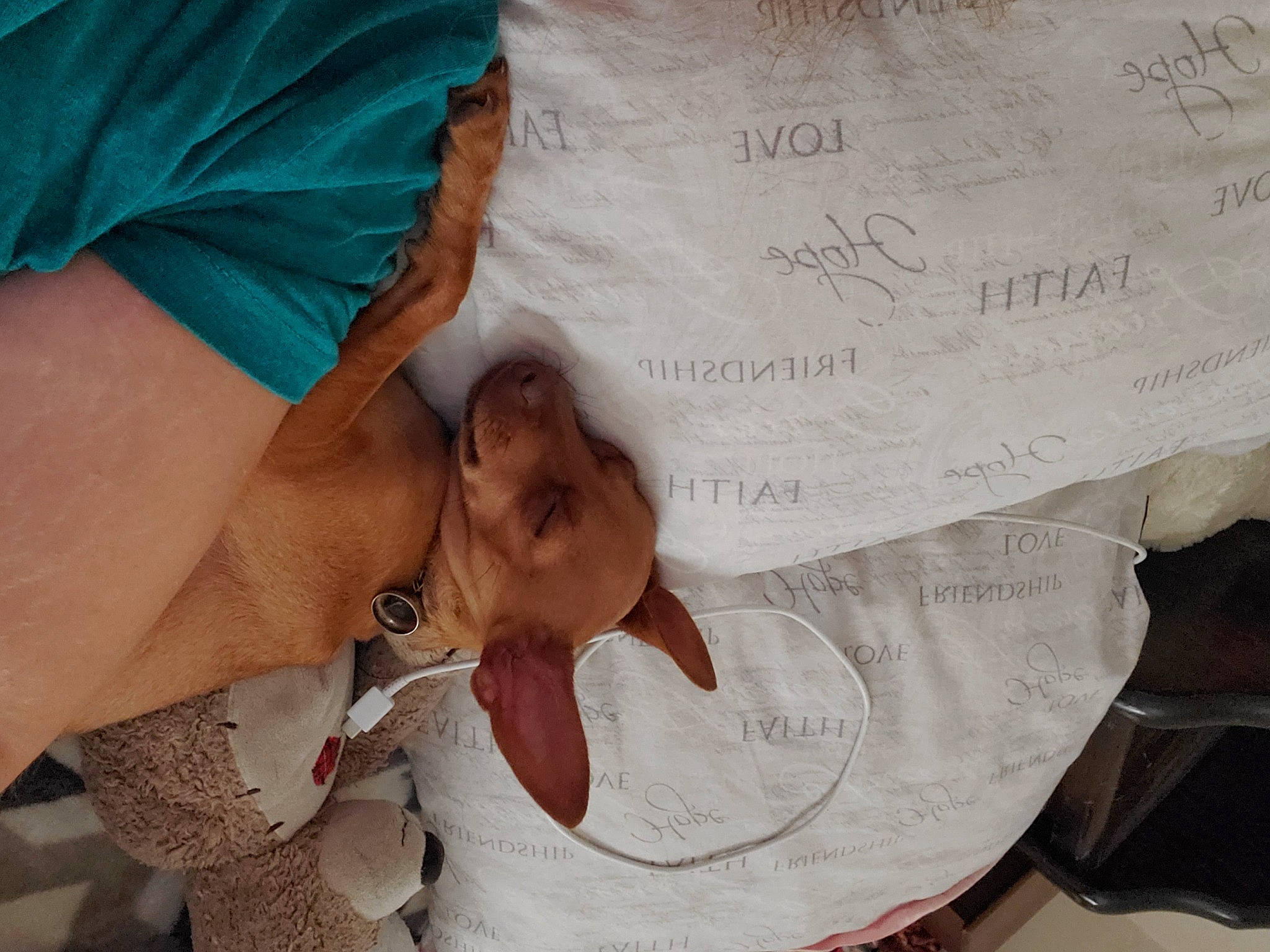 Zander joined the competition — help win amazing prizes! adaptation, child, hand, human