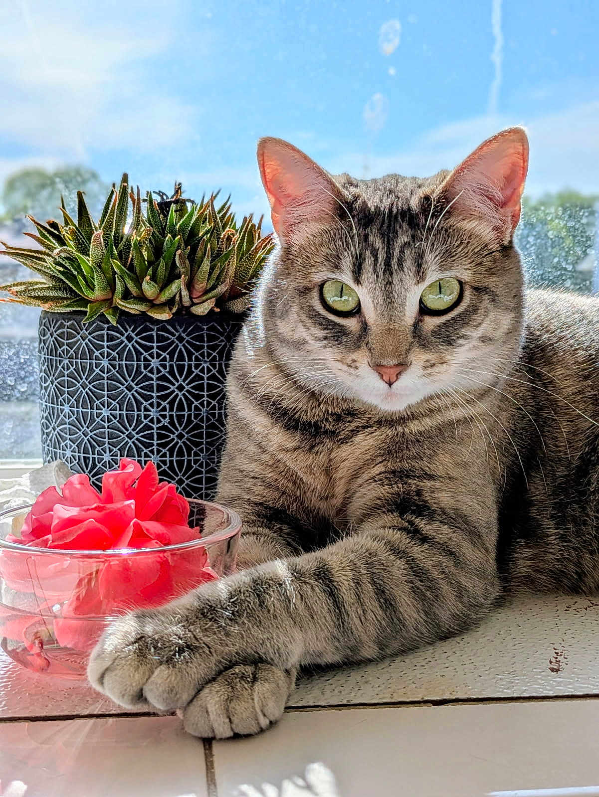 Chloe