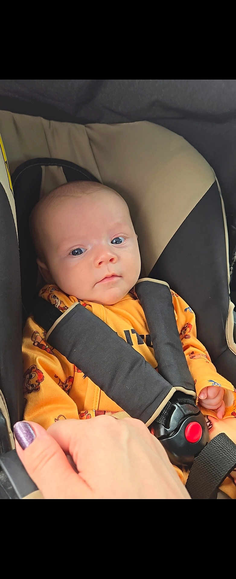 Bella a rejoint le concours — aidez-le/la à gagner de superbes lots ! baby, infant, car_seat, child, seat_belt, orange_clothing, hand, purple_nail_polish, safety, resting, cute, small_hands, portrait, indoor, closeup, child_seat, car, secure, young_child, face