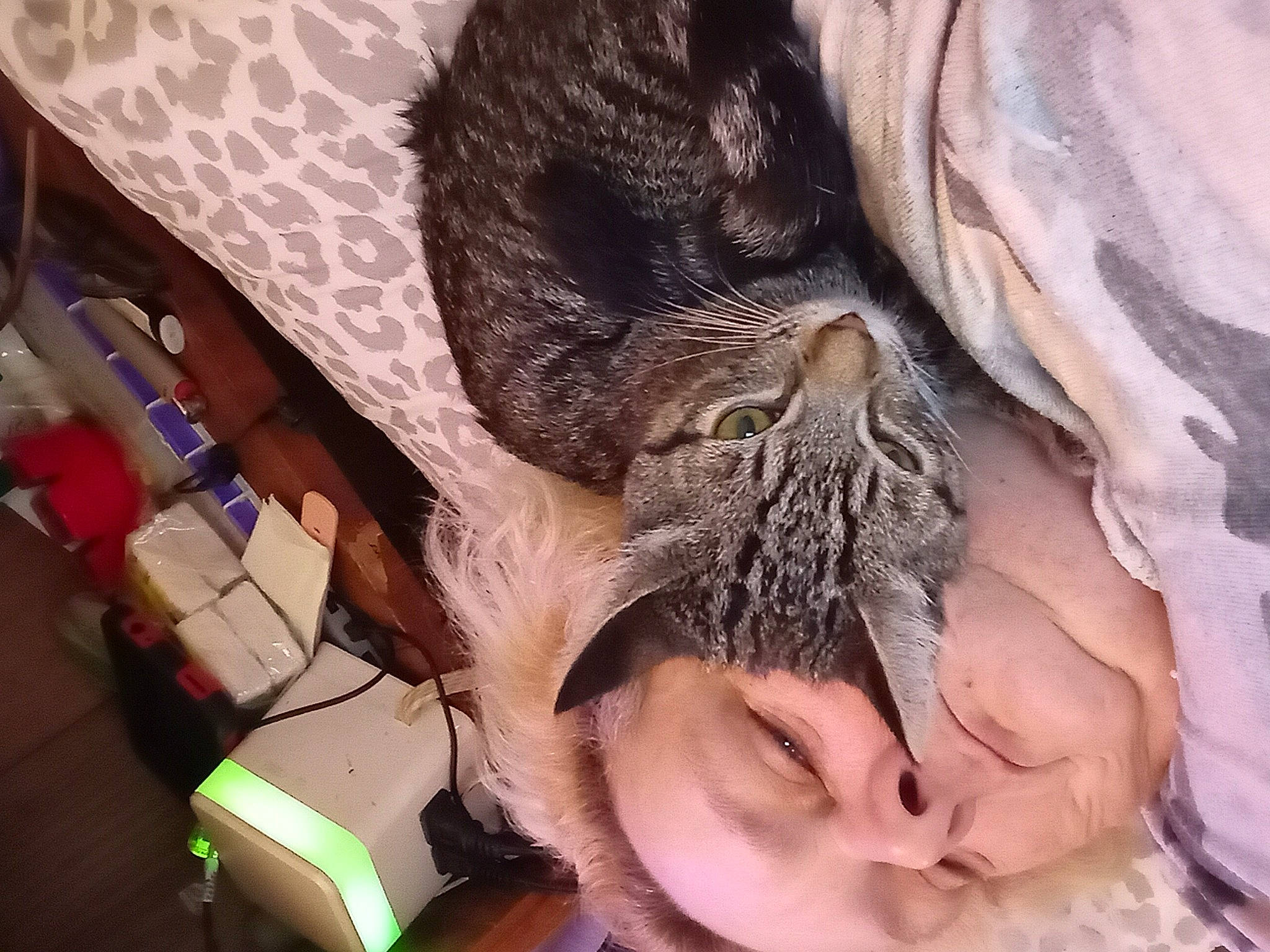 Loki is registered to the contest to win money with this photo: beard, cat, comfort, domestic_short_haired_cat, eyelash, eyewear, facial_hair, felidae, finger, fur, gesture, jaw, moustache, mouth, nail, neck, nose, small_to_medium_sized_cats, whiskers, wrinkle