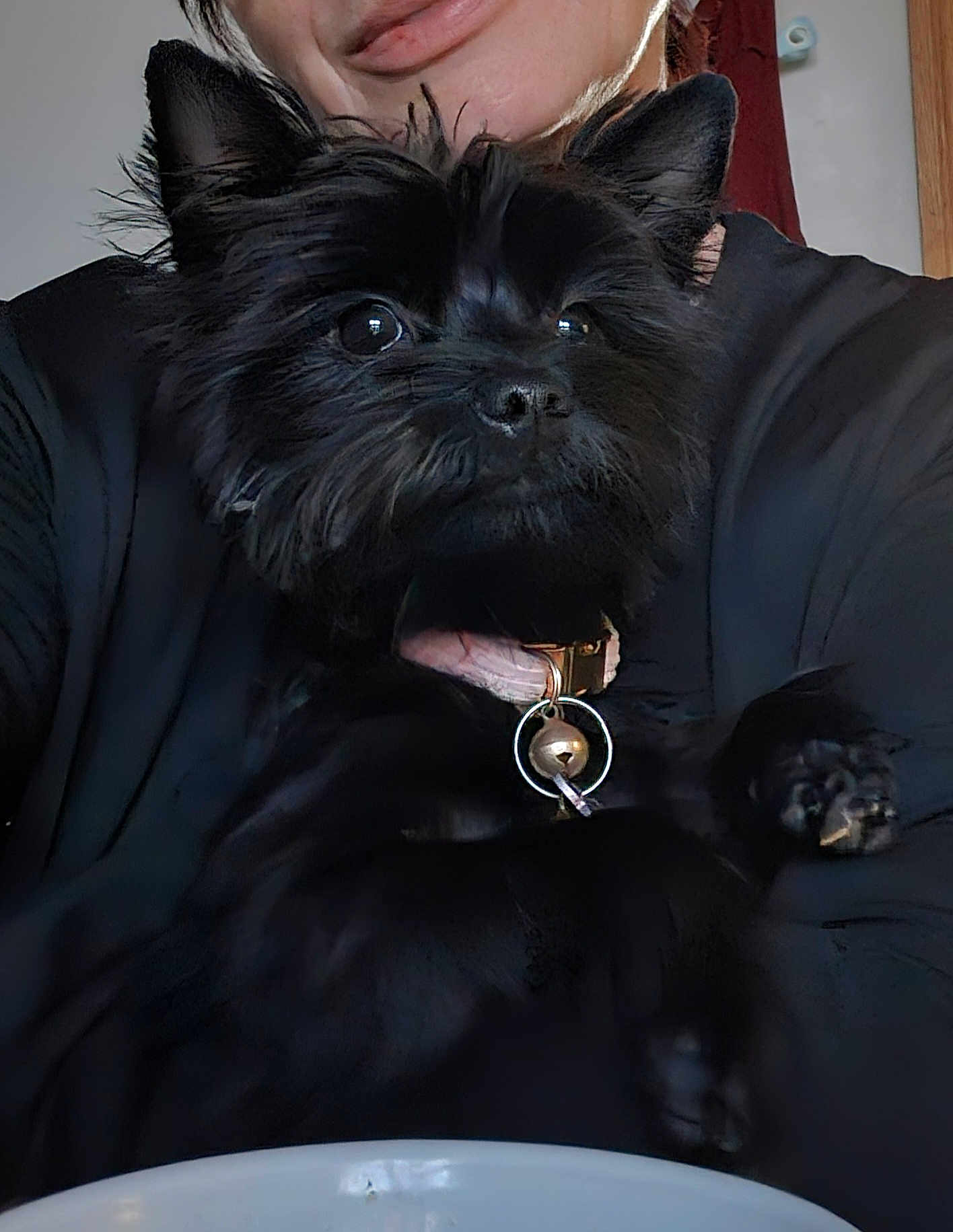 Pippa