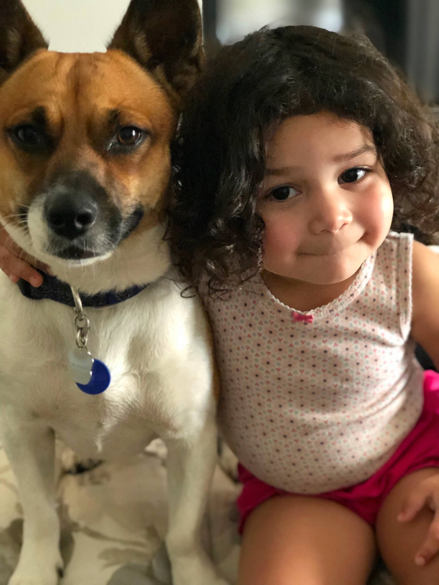 Sariah is registered to the contest to win money with this photo: canidae, carnivore, child, companion_dog, danish_swedish_farmdog, dog, dog_breed, fawn, feist, joy, mammal, miniature_fox_terrier, person, puppy_love, rat_terrier, russell_terrier, snout, tenterfield_terrier, toy_fox_terrier