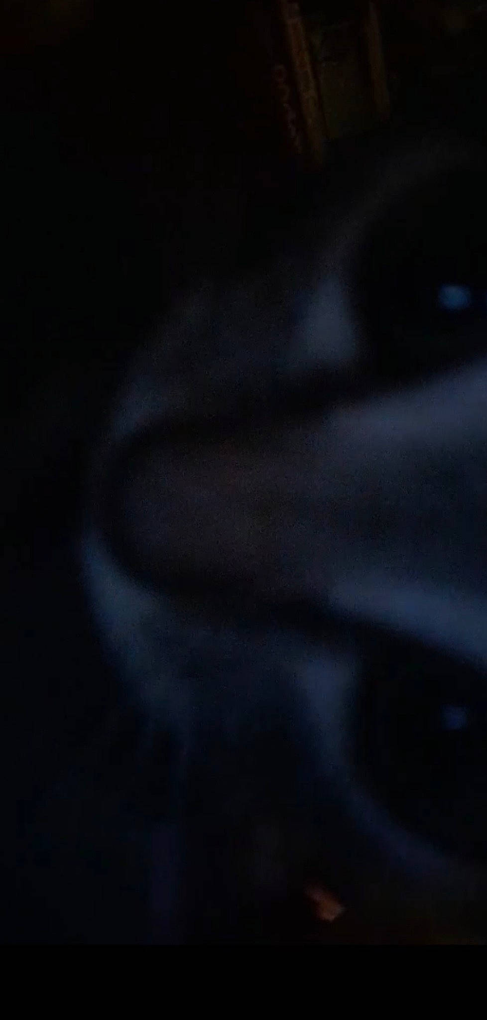 Joyce joined the competition — help win amazing prizes! cloud, cumulus, darkness, electric_blue, flash_photography, landscape, liquid, macro_photography, meteorological_phenomenon, midnight, monochrome, monochrome_photography, pattern, petal, silk, sky, still_life_photography, tree, water