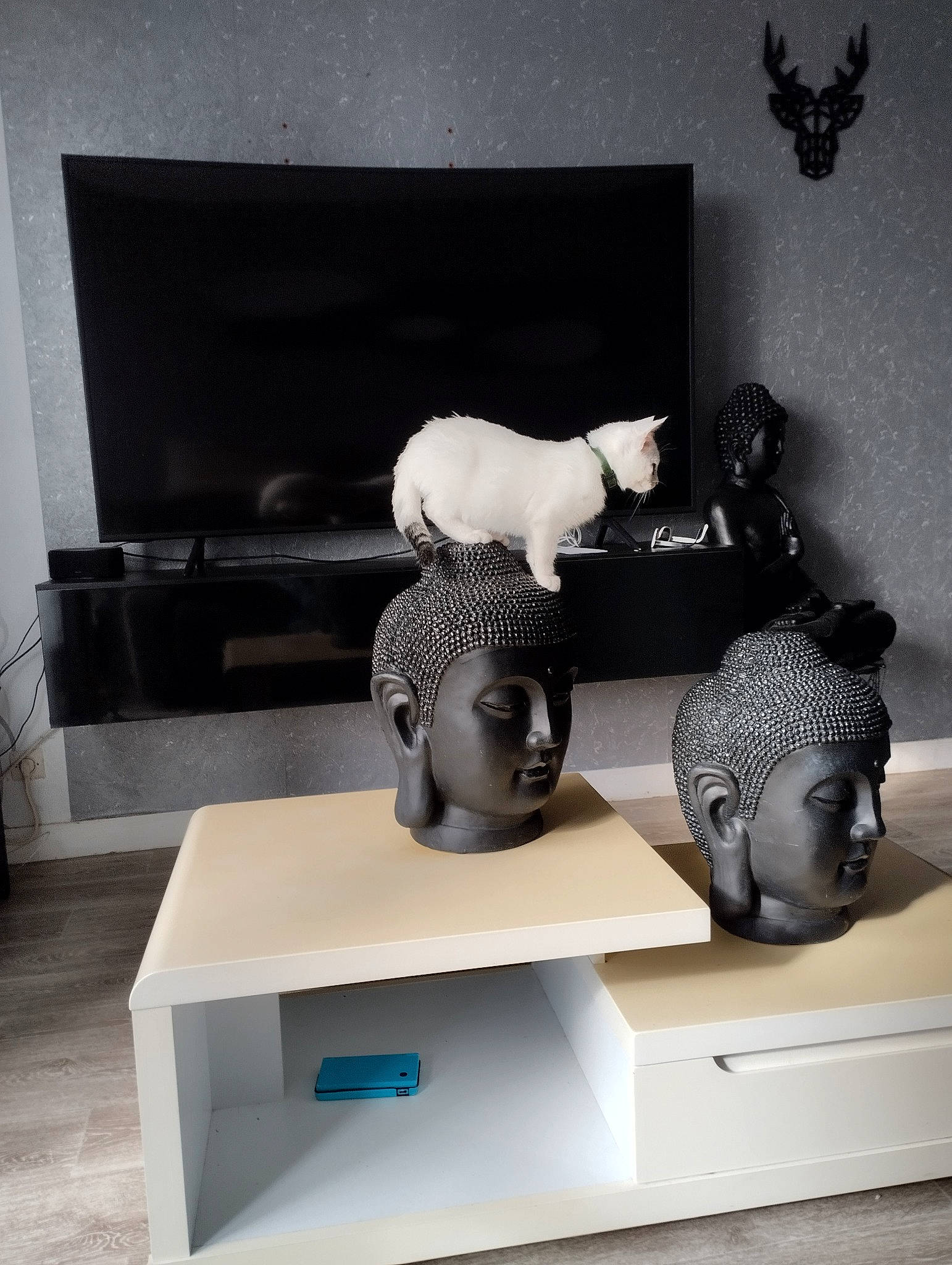 Casper a rejoint le concours — aidez-le/la à gagner de superbes lots ! art, artifact, collection, grey, interior_design, lighting, metal, monochrome, monochrome_photography, rectangle, room, sculpture, shelf, shelving, statue, stock_photography, style, visual_arts, wall, wood