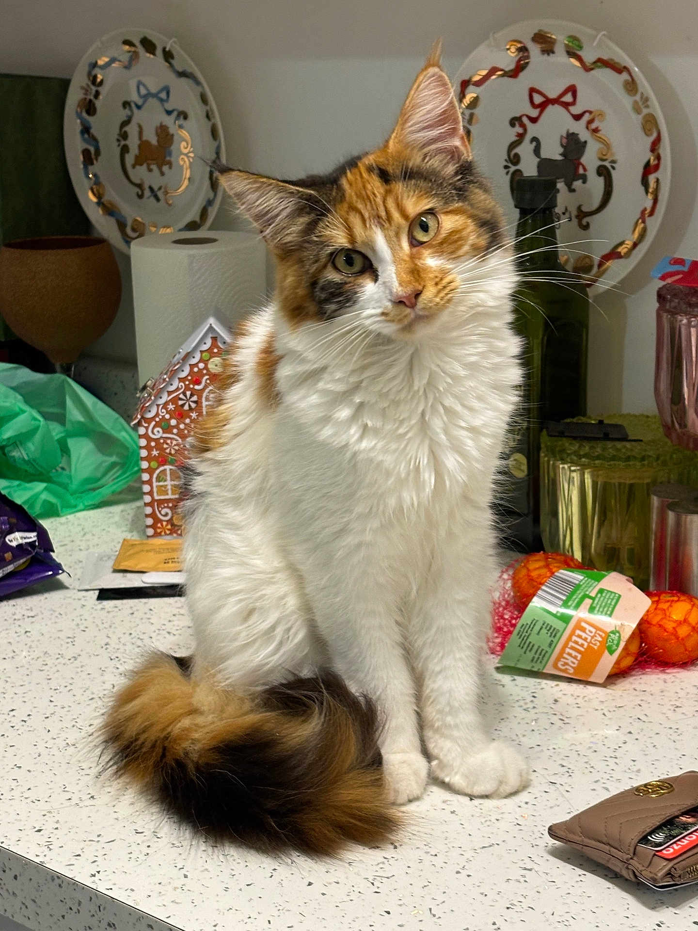 Bonnie