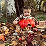 Simon participe au concours pour gagner de l'argent avec cette photo : baby, pumpkin, autumn_leaves, plaid_shirt, outdoor, tree_trunk, wooden_blocks, fall, seasonal, child, cute, milestone, nature, orange, brown, green, toy, hedgehog_plush, sitting, portrait