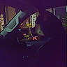animal, blur, car, dark, dog, flower, grainy, inside, interior, low_light, night, pet, profile, seat, shadow, side_view, sign, vehicle, welcome, window