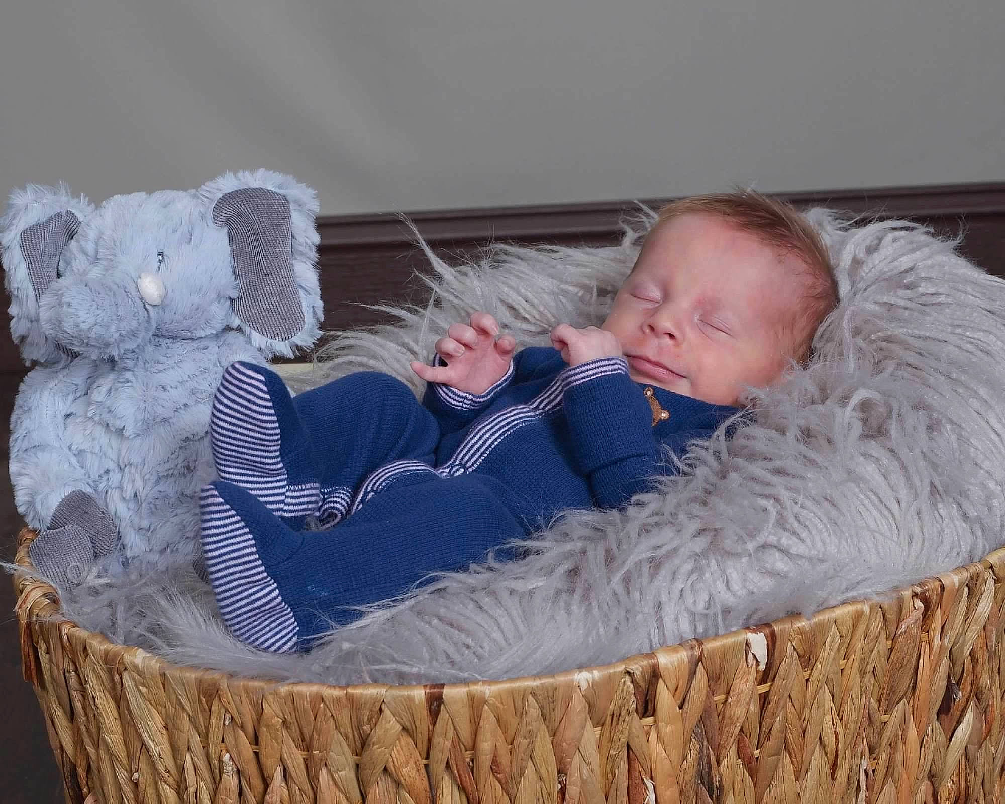 Zarek joined the competition — help win amazing prizes! baby, baby_products, baby_sleeping, baby_toddler_clothing, baby_toys, bedtime, comfort, fur, nap, person, plush, sleep, stuffed_toy, teddy_bear, textile, toddler, toy