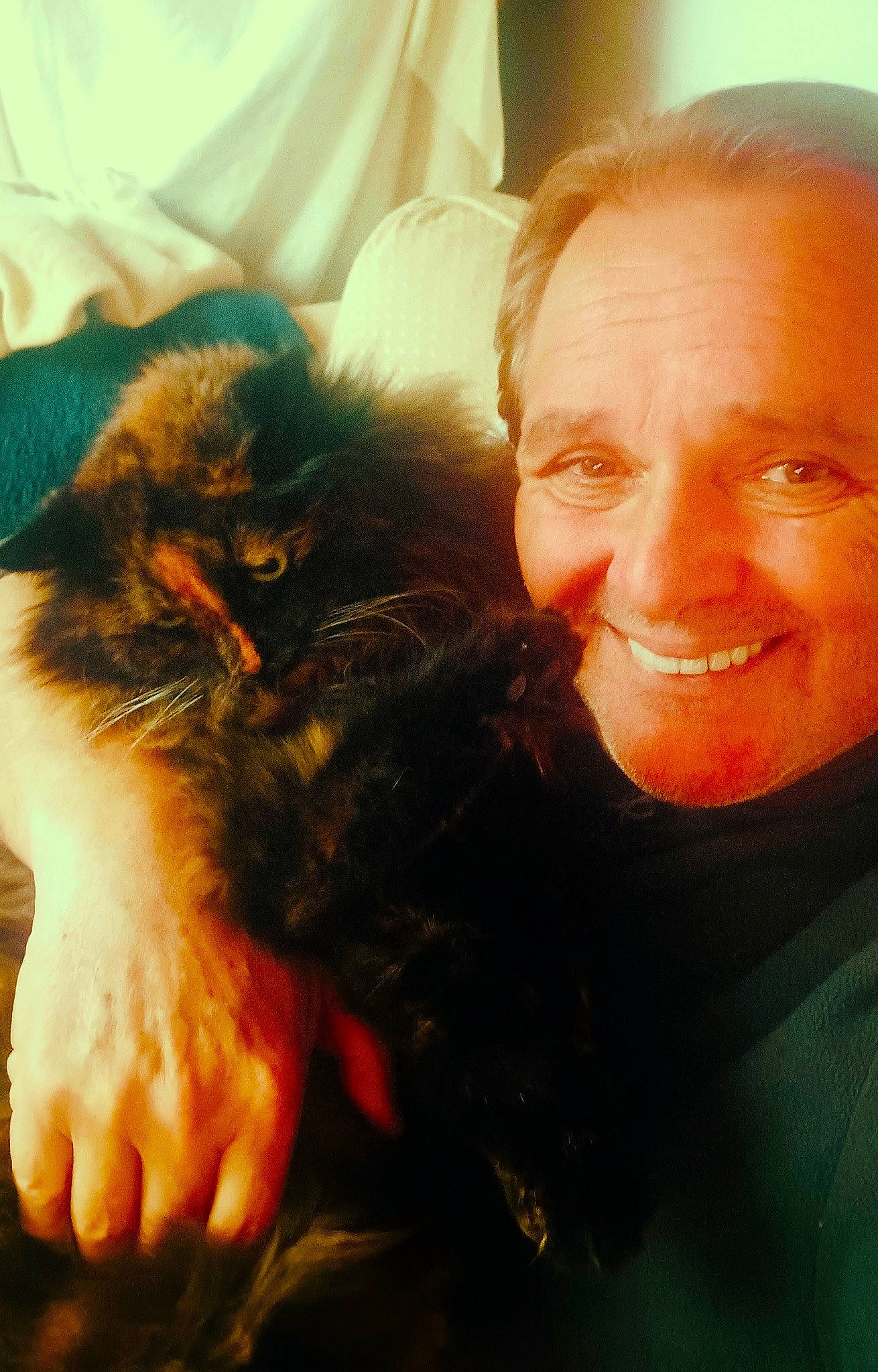 Cara a rejoint le concours — aidez-le/la à gagner de superbes lots ! beard, carnivore, cat, comfort, companion_dog, dog_breed, ear, eye, felidae, fun, fur, gesture, happy, lap, mammal, mouth, skin, small_to_medium_sized_cats, smile, whiskers