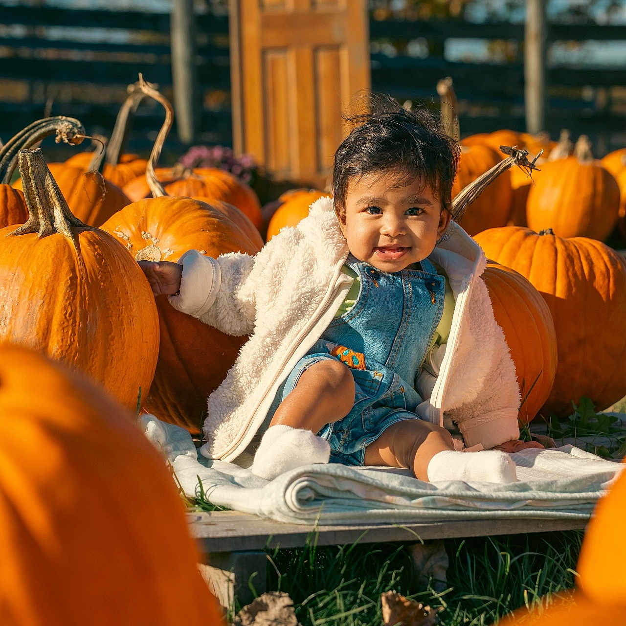 Dhriti joined the competition — help win amazing prizes! autumn, baby, bench, child, cute, denim, fall, festival, grass, holiday, jacket, nature, outdoor, playful, pumpkin, pumpkin_patch, seasonal, smile, sunlight, toddler