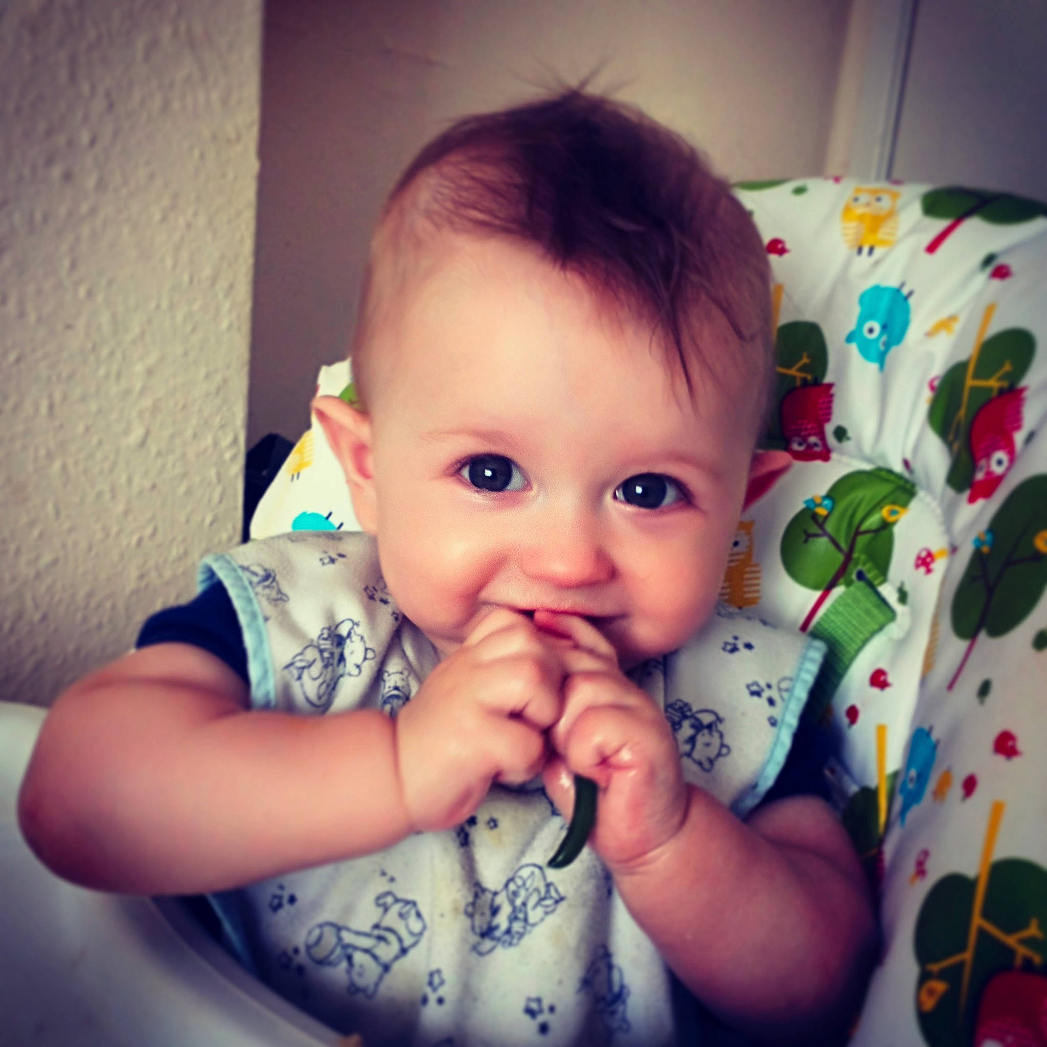 Brody joined the competition — help win amazing prizes! arm, baby, beauty, cheek, child, chin, eye, face, finger, forehead, hand, head, human, iris, lip, mouth, nose, person, skin, thumb