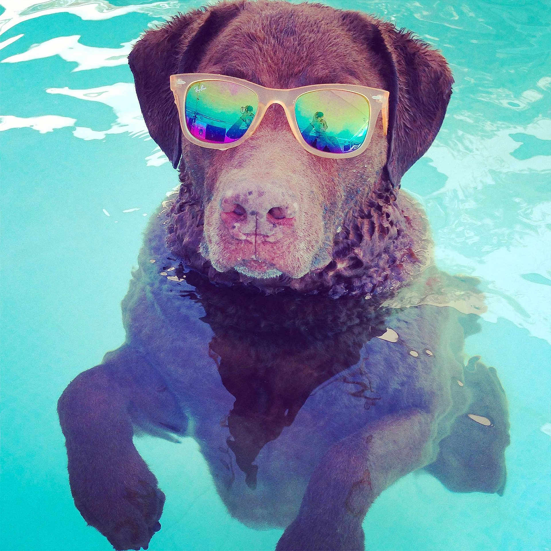 Wesson is registered to the contest to win money with this photo: