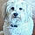 Mollie
