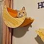 Emma is registered to the contest to win money with this photo: abyssinian, animal, bed, bedroom, cat, chair, cradle, crib, curtain, drawer, furniture, hardwood, indoors, infantbed, kitten, pet, plywood, room, shelf, wood