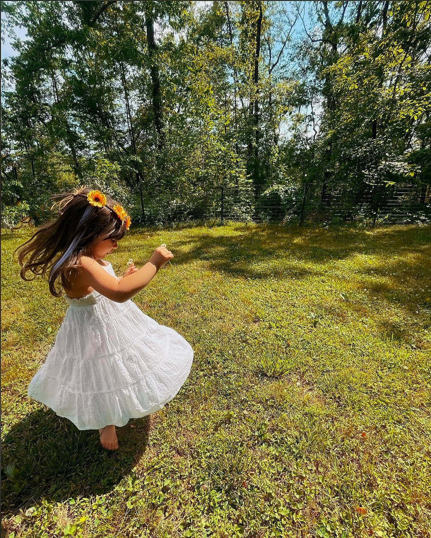 Olive is registered to the contest to win money with this photo: flash_photography, forest, grass, grassland, happy, lawn, leaf, meadow, natural_landscape, people_in_nature, person, plant, prairie, recreation, shrub, sky, sunlight, tints_and_shades, tree, vegetation