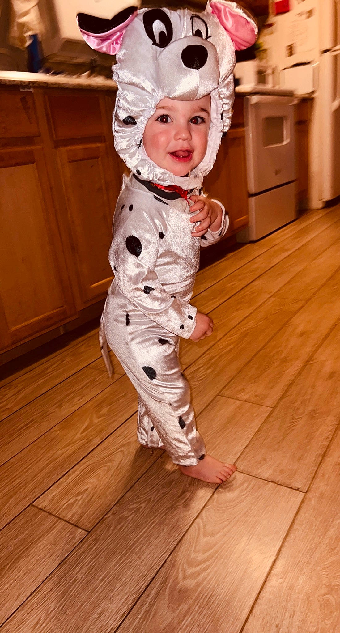 Kolton joined the competition — help win amazing prizes! cabinetry, costume_hat, door, fawn, fictional_character, floor, flooring, fur, happy, hardwood, headwear, laminate_flooring, mask, person, personal_protective_equipment, sleeve, smile, toddler, varnish, wood