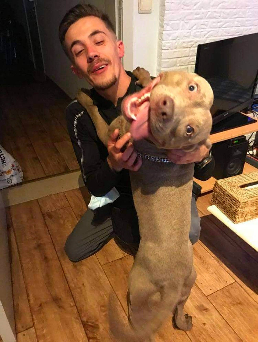 Djanaz participe au concours pour gagner de l'argent avec cette photo : companion_dog, computer_keyboard, computer_monitor, eye, fawn, flooring, fun, fur, fur_clothing, gesture, happy, hardwood, mascot, peripheral, room, selfie, snout, stuffed_toy, toy, wood