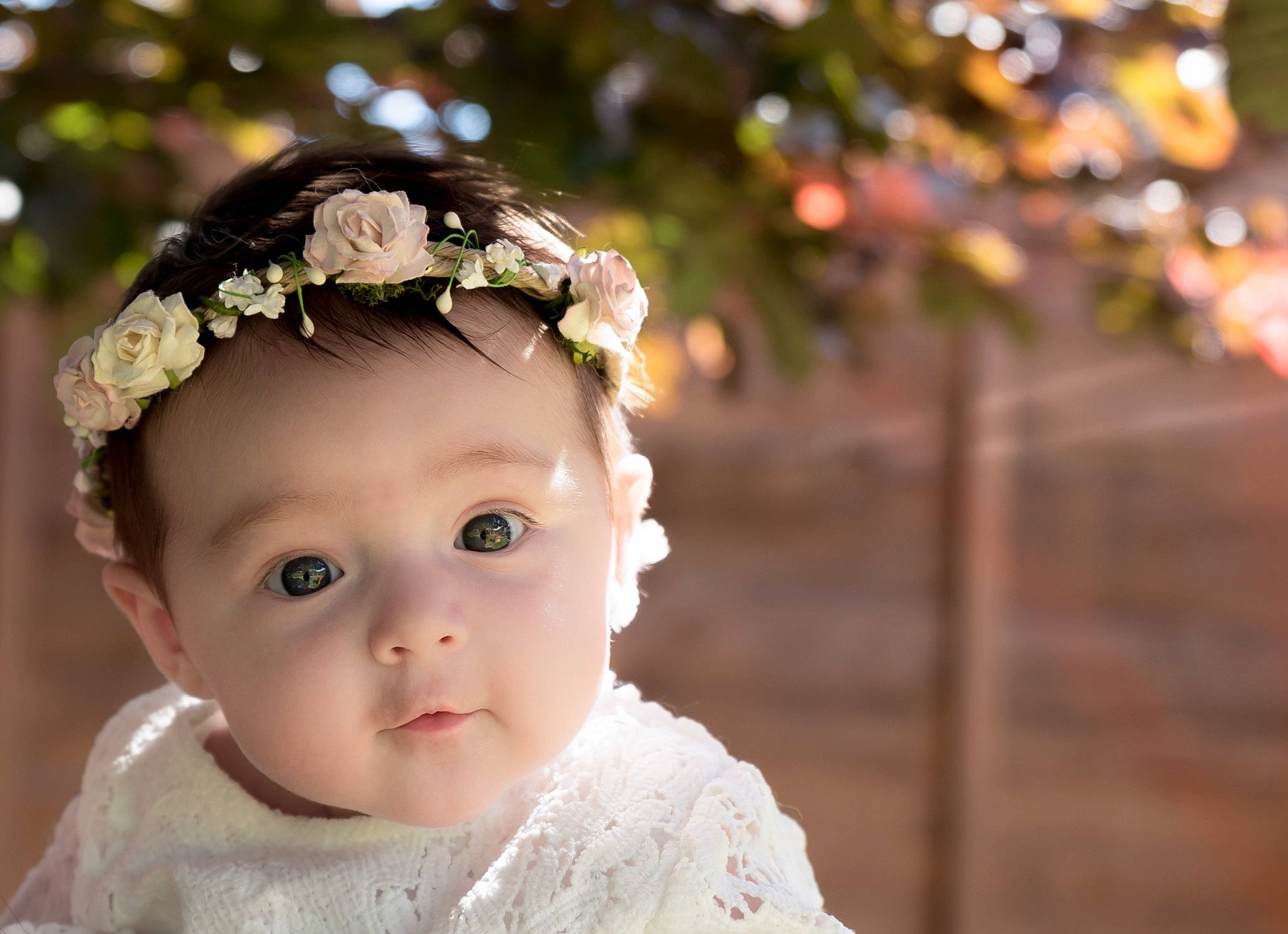 Isobel is registered to the contest to win money with this photo: baby, cheek, child, crown, face, fashion_accessory, flower, forehead, hair_accessory, head, headband, headgear, headpiece, person, photograph, photography, plant, smile, toddler