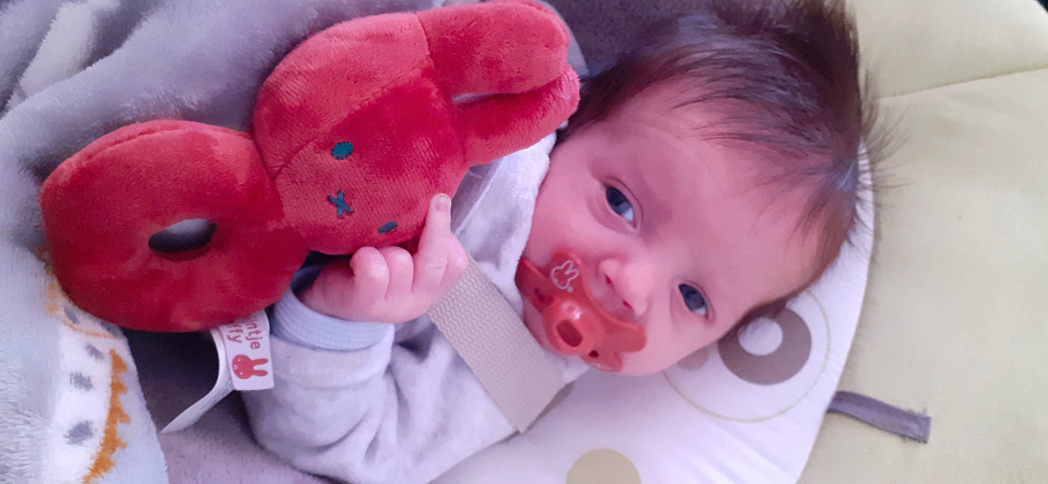 Byron participe au concours pour gagner de l'argent avec cette photo : baby, baby_toddler_clothing, cheek, face, facial_expression, finger, gesture, hand, happy, head, lip, mammal, mouth, nose, person, pink, product, skin, textile, toddler