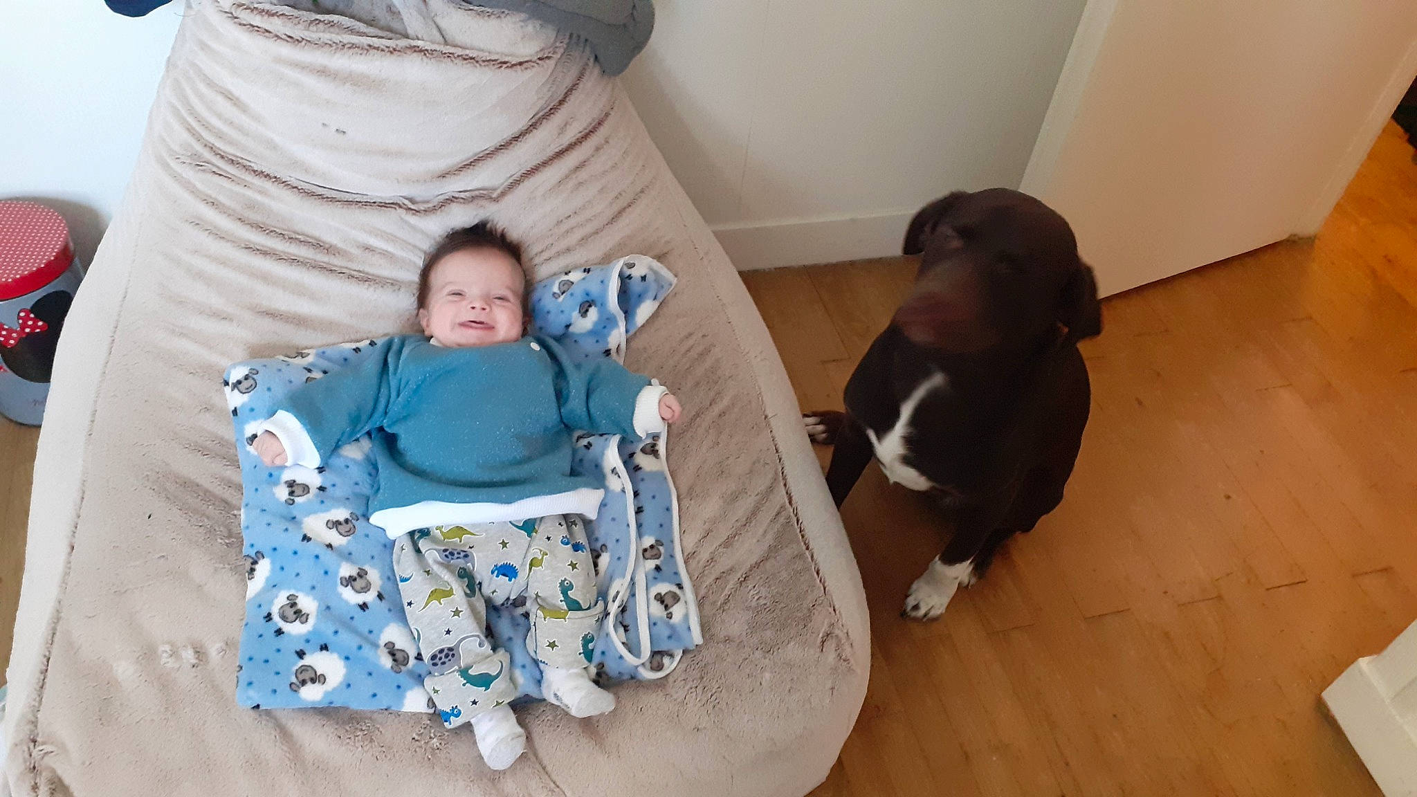 Byron a rejoint le concours — aidez-le/la à gagner de superbes lots ! baby, baby_products, baby_toddler_clothing, chair, child, comfort, companion_dog, dog_breed, flooring, hardwood, infant_bed, joy, lap, mammal, person, shoe, sitting, t_shirt, toddler, vertebrate