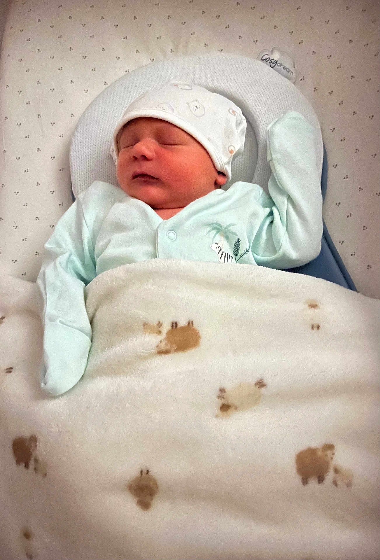 Greyson is registered to the contest to win money with this photo: baby, bed, blanket, child, comfort, cozy, cushion, cute, face, hat, indoor, infant, newborn, pajamas, peaceful, resting, sleeping, soft, wrapped, young