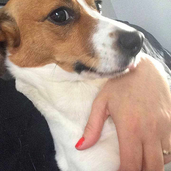 Bella