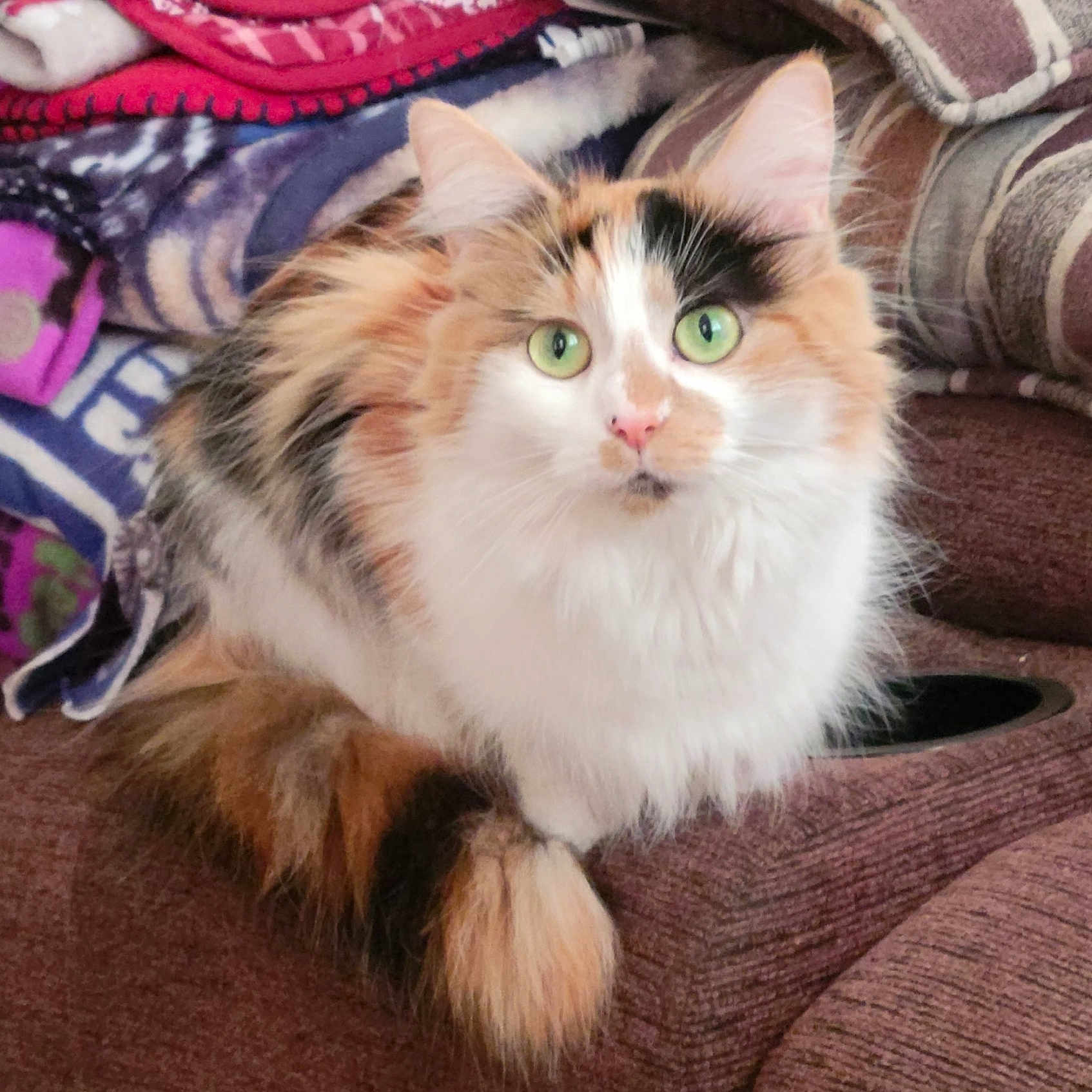 Chloe
