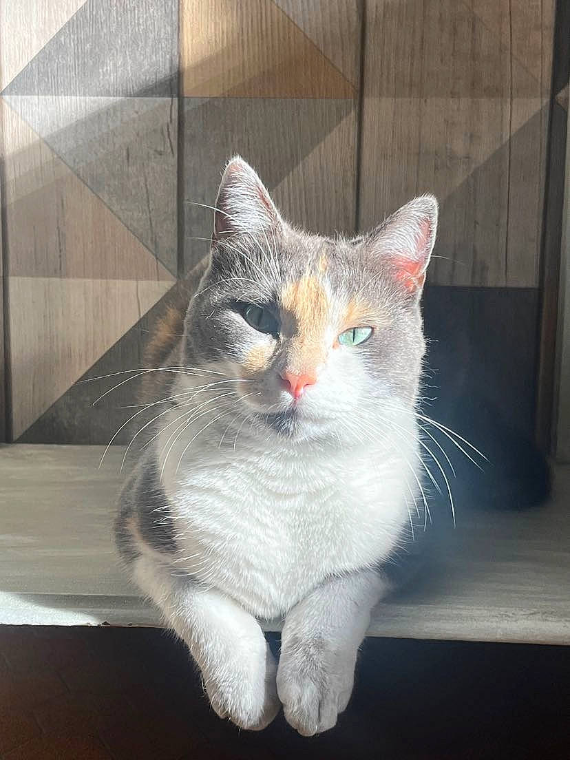 Mademoiselle