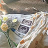 cat, pet, animal, sunlight, indoors, carpet, blanket, flowers, bouquet, ultrasound, pregnancy_test, pregnancy, baby, baby_clothes, onesie, bear_pattern, newborn, announcement, still_life, home_decor