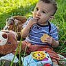 toddler, child, grass, outdoor, cookie, toy, plush_bear, striped_shirt, orange_pants, white_shoes, playtime, summer, nature, cute, eating, sitting, daylight, curious, young_child, casual_clothing