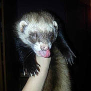 Bounty a rejoint le concours — aidez-le/la à gagner de superbes lots !