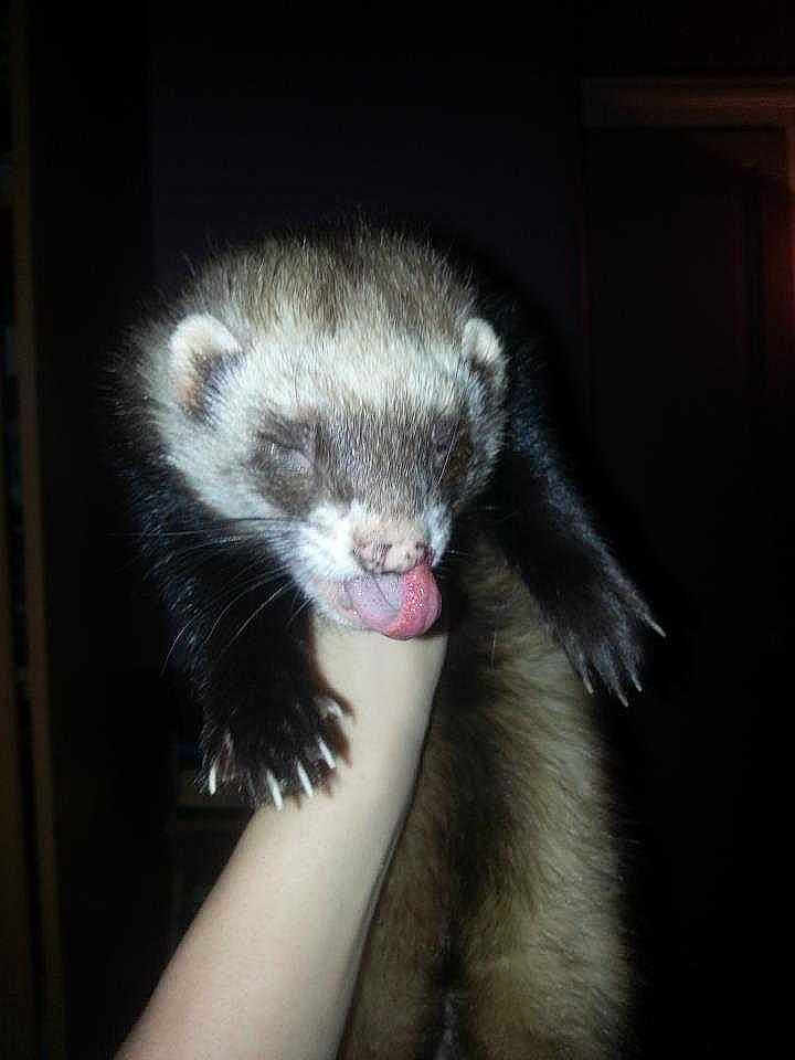 Bounty a rejoint le concours — aidez-le/la à gagner de superbes lots !