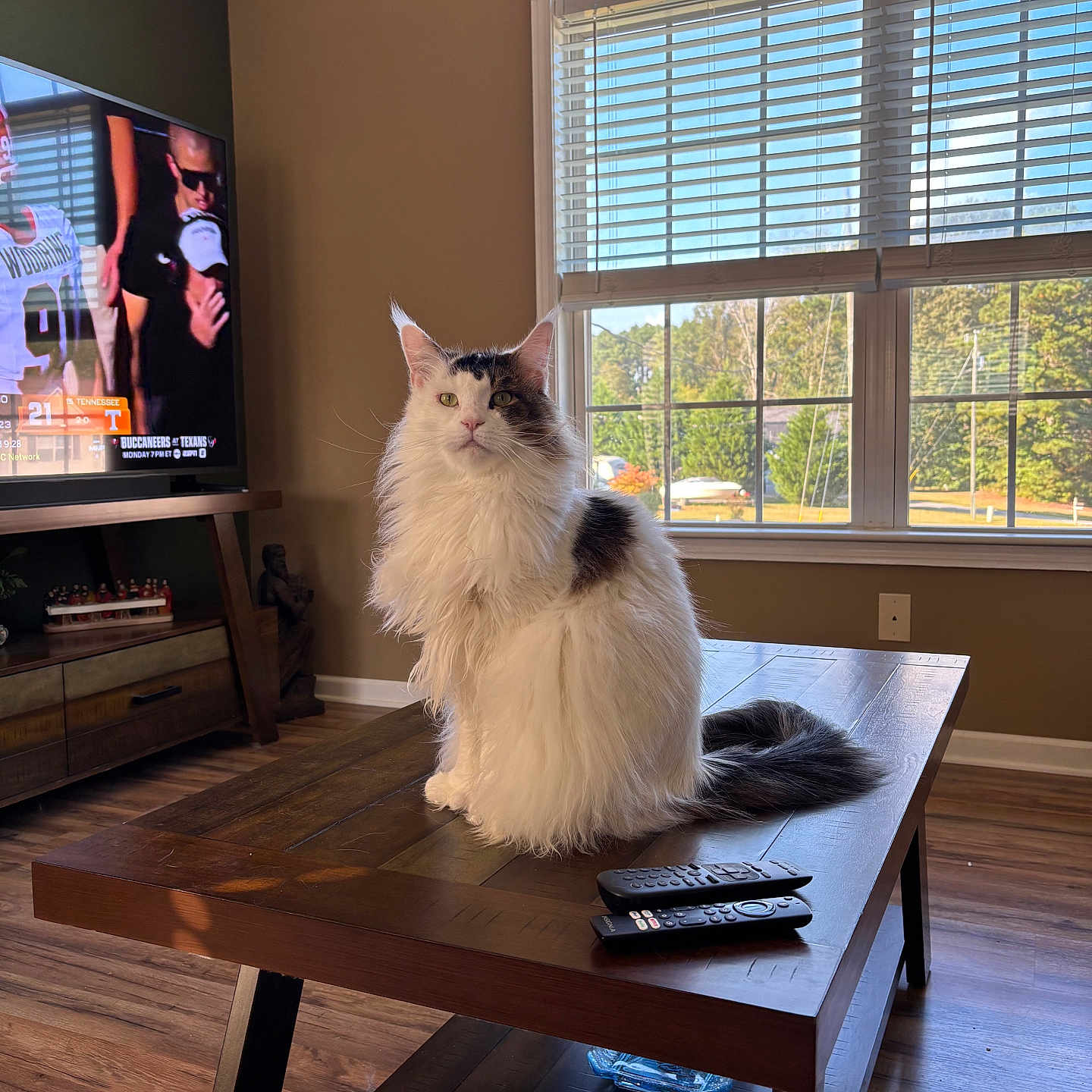Olivia